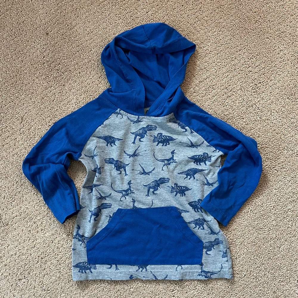 Hooded Long Sleeve, Blue & Grey, Dino Pattern, Boys size 3T, Gently Used